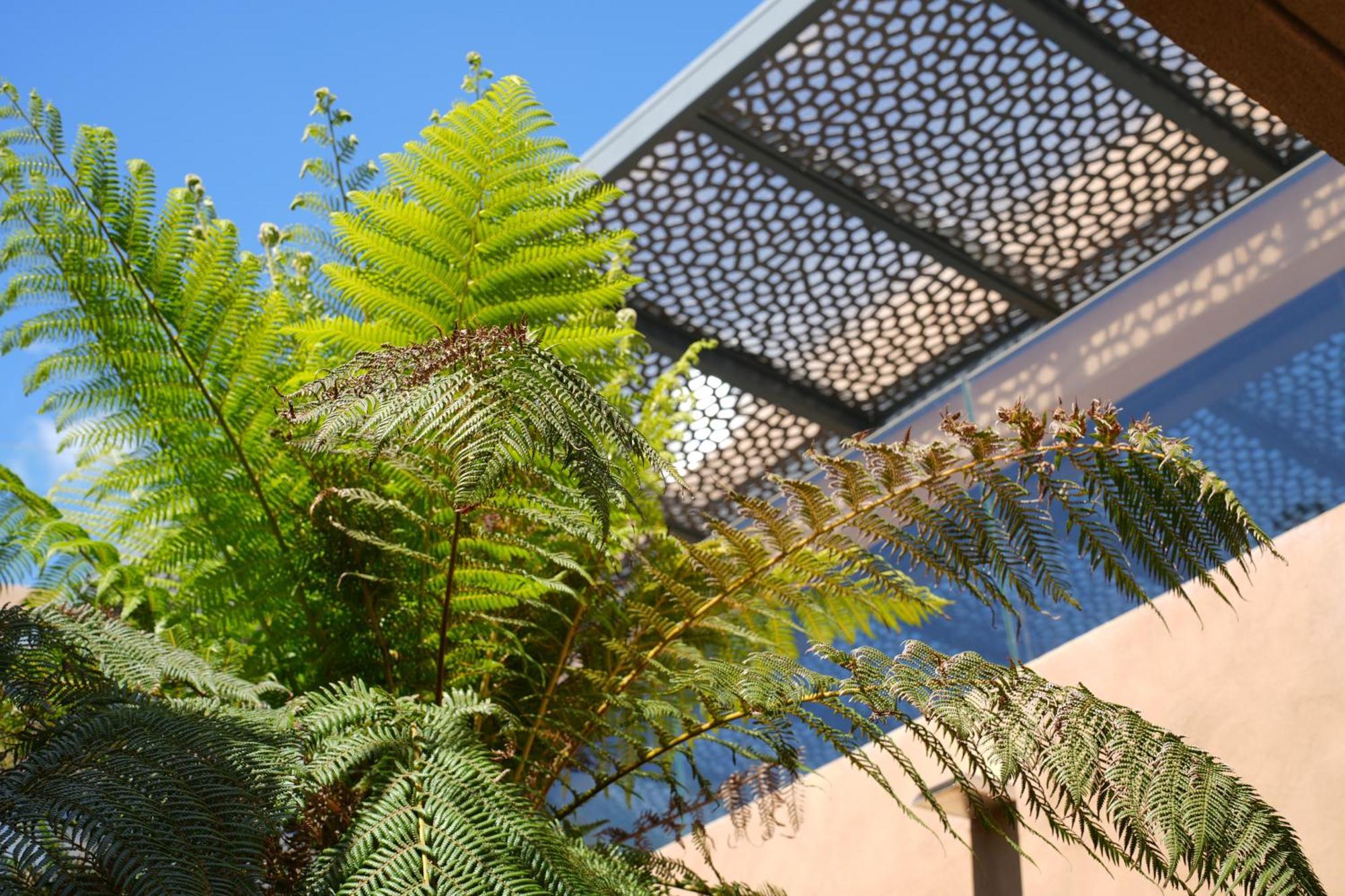 Les Regalia Hotel & Spa سانت لوسي دي بورتو فيشيو المظهر الخارجي الصورة